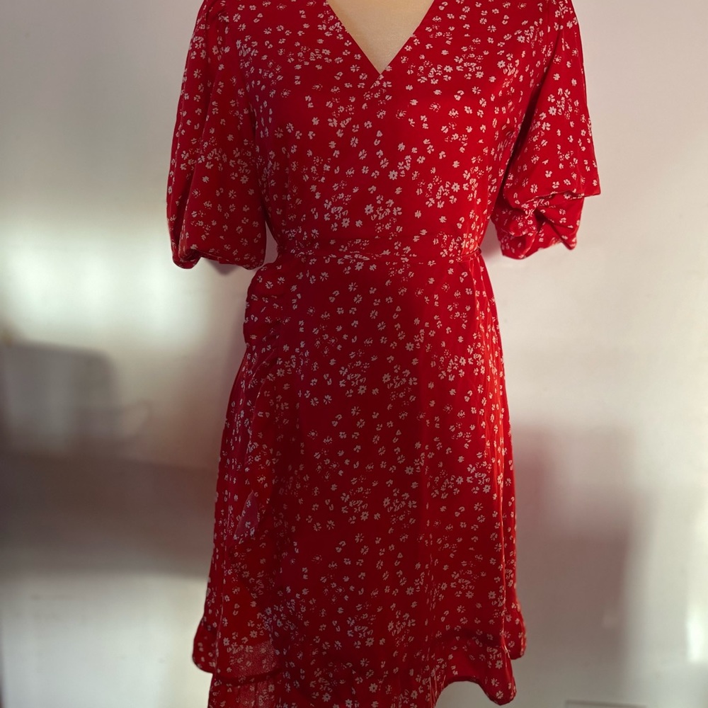 Red Dress - Picture 16 of 16